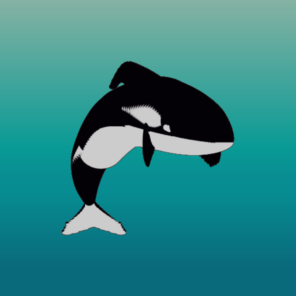 whale wiggle app
