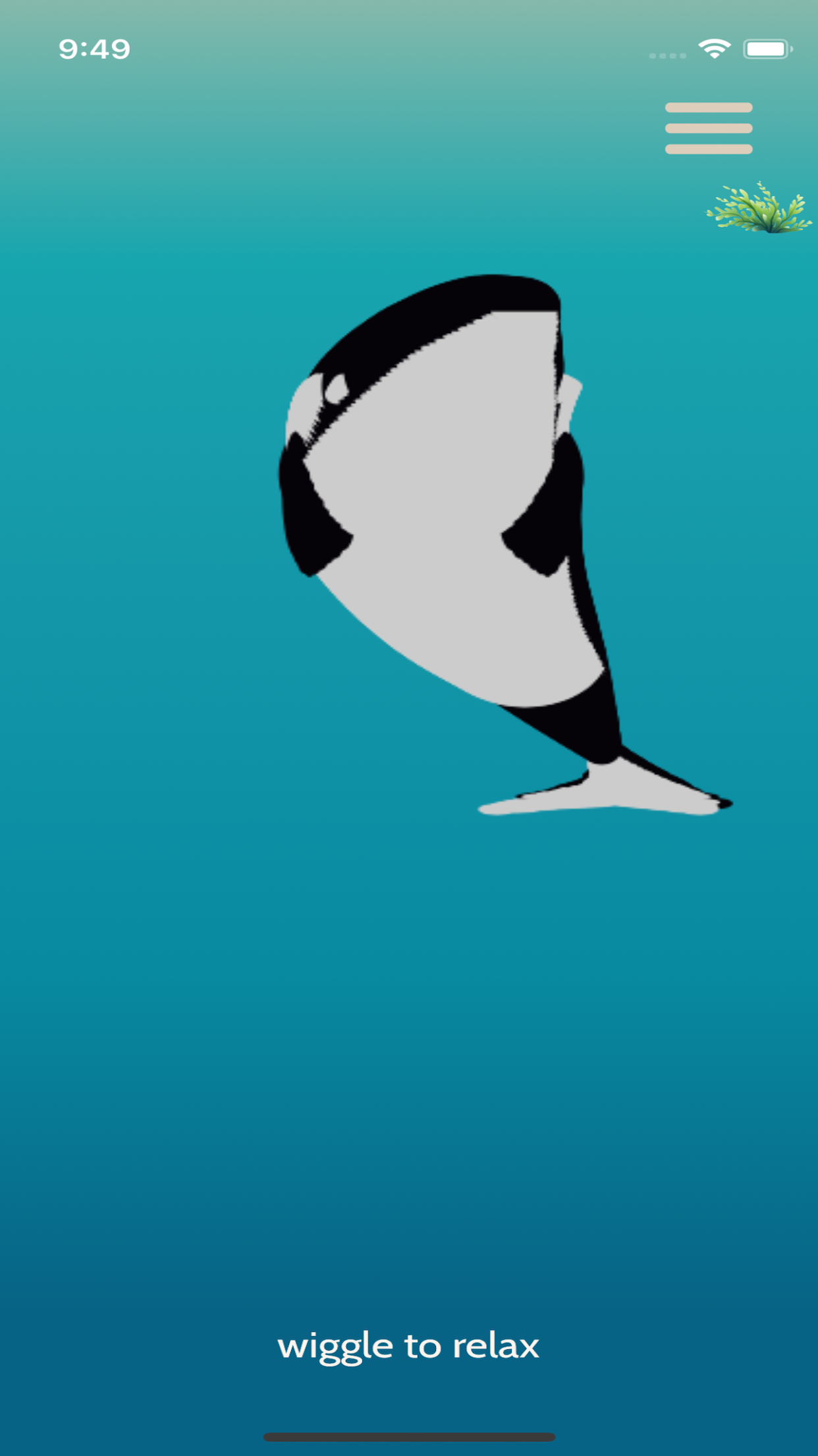 whale wiggle app photo