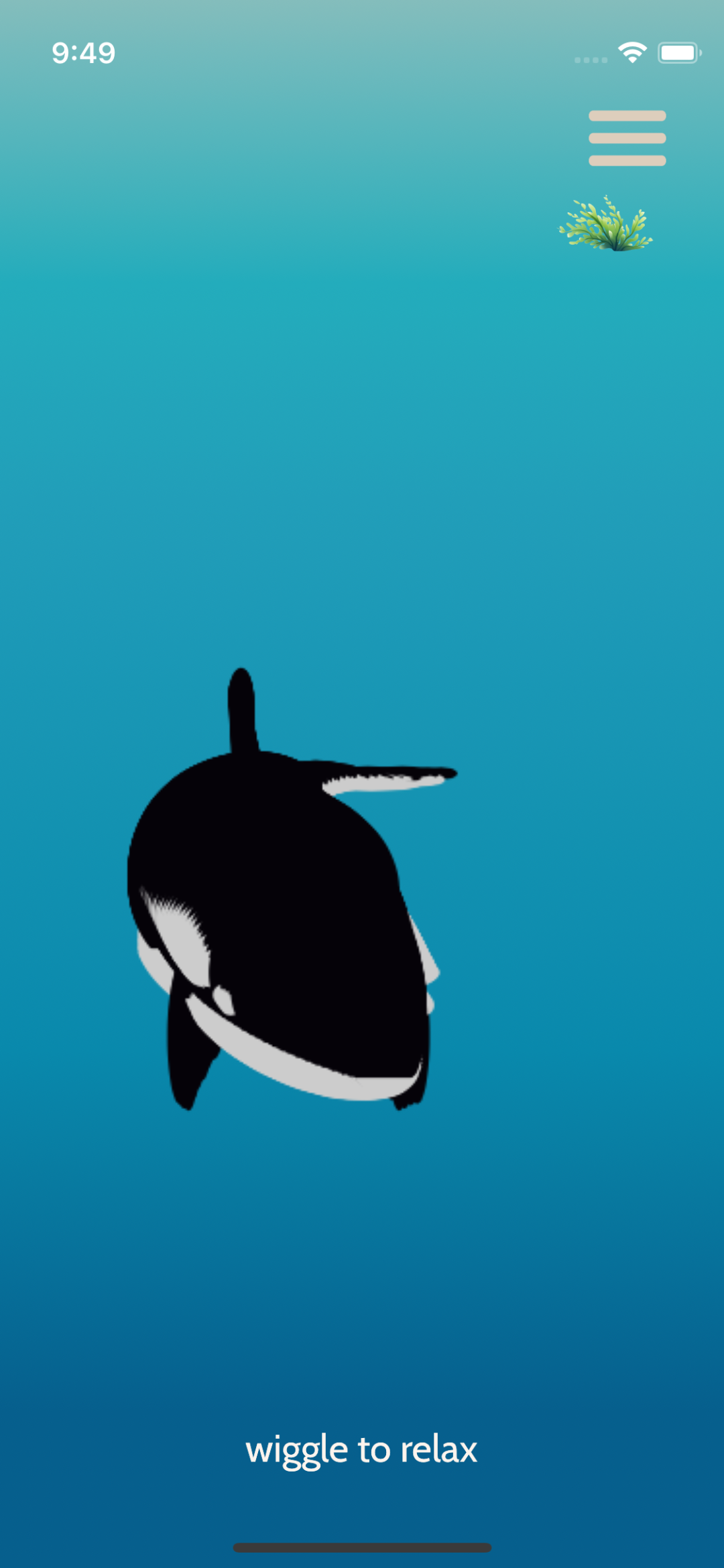whale wiggle app photo