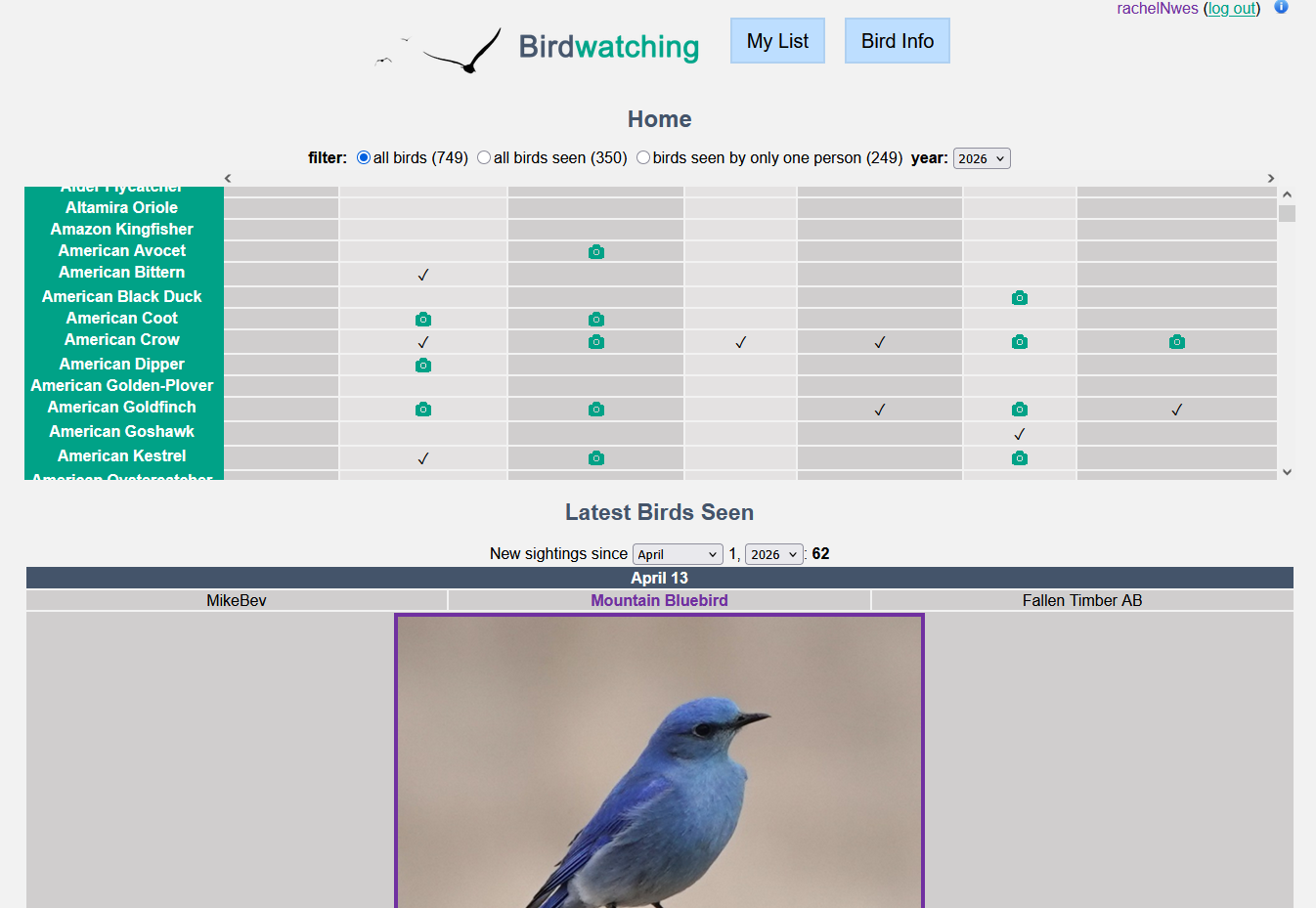 big year birding website