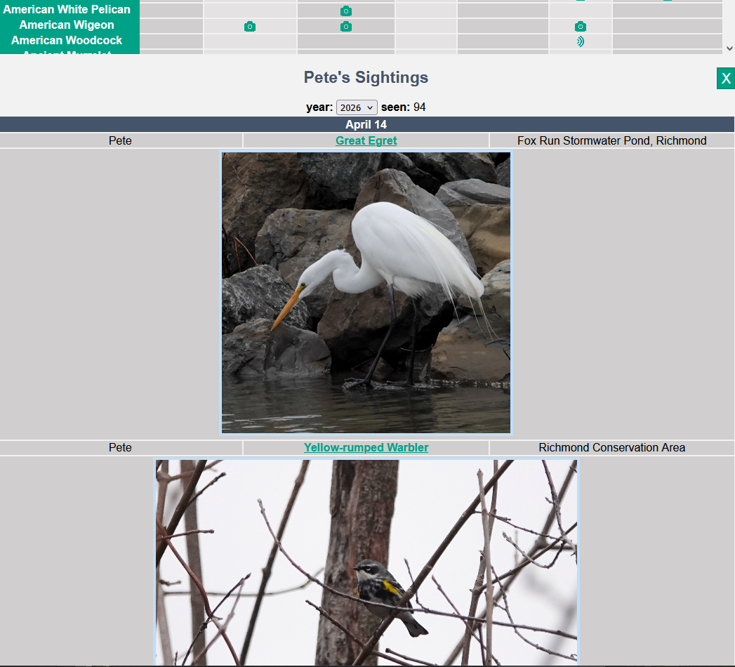 big year birding photo